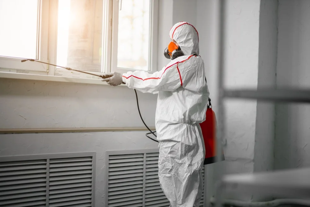 Professional mold remediation services in Springville, IN